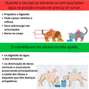 Comedouro Inteligente para Pets – Personalizável, Inclinável e com Tampas + BRINDES